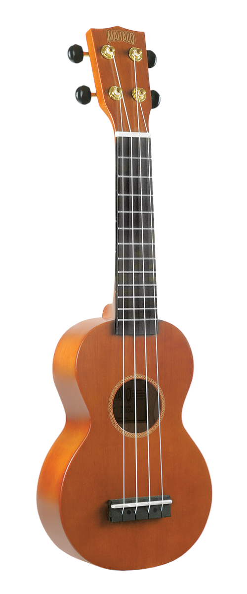 MR1TBR Transparent Brown